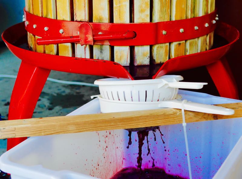 Another Ghetto Solution Pressing the Wine Decoded Bathtub Cabernet 2015 by Paul Kaan