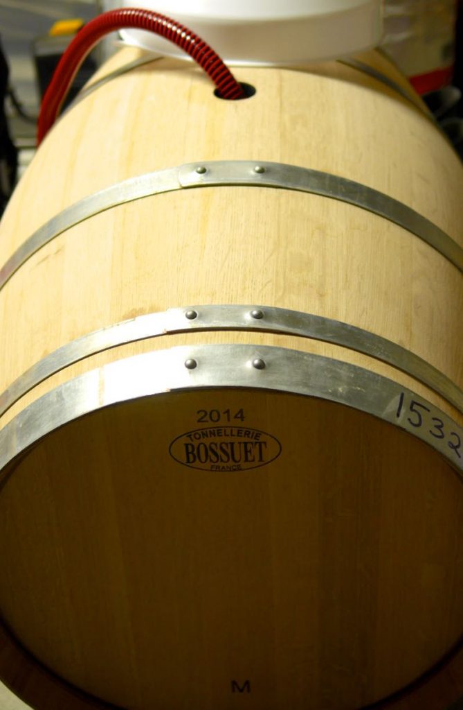 Filling-new-oak-for-the-bathtub-winemaking-project-2015-for-wine-decoded-by-paul-kaan