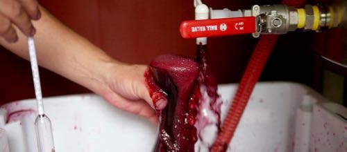 Tasting the Bathtub Shiraz V16E06 for Wine Decoded by Paul Kaan