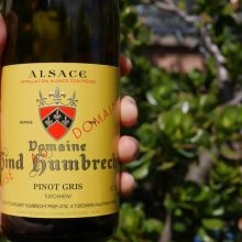 Dom Zind Humbrecht Pinot Gris 2014