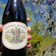 Giant Steps Pinot Noir 2015
