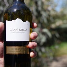Gran Sasso Pinot Grigio 2015