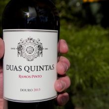 Ramos Pinto Duas Quintas Douro 2013