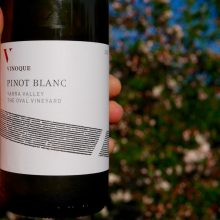 Vinoque Pinot Blanc 2015