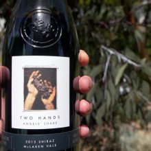 Two Hands Angels Share Shiraz 2015