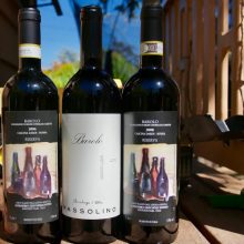 Bring on the Barolo! Nebbiolo Festa - 3 pack!