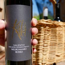 Vinicola Palamà Negroamaro 'Kalà' 2014