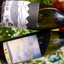 Proud Up The Mountain Pinot & Bovine Syrah Twin Pack