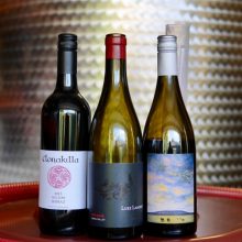 Celebrating Shiraz: Clonakilla Lambert + Proud 3 Pack
