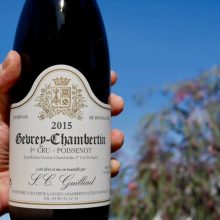 Domaine SC Guillard Gevrey-Chambertin 1er Cru 'Poissenot' 2016