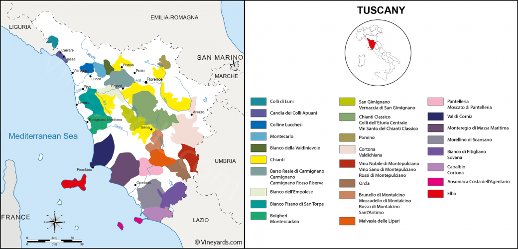 Masseto Map Masseto 2016 - WINE DECODED