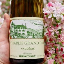 Domaine Billaud-Simon Chablis Grand Cru Vaudésir 2021