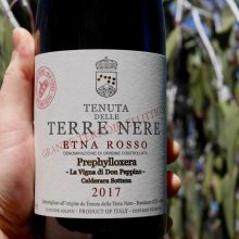 Terre Nere 'Prephylloxera' Etna Rosso D.O.C. The vineyard of Don Peppino 2017