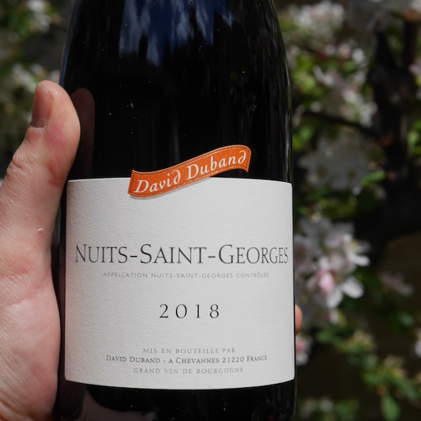 Wines from Nuits-Saint-Georges - WINE DECODED