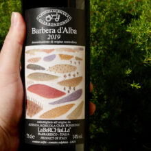 Olek Bondonio Barbera 2019