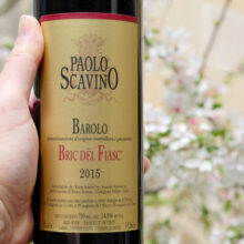 Paolo Scavino Barolo 'Bric dël Fiasc' 2015
