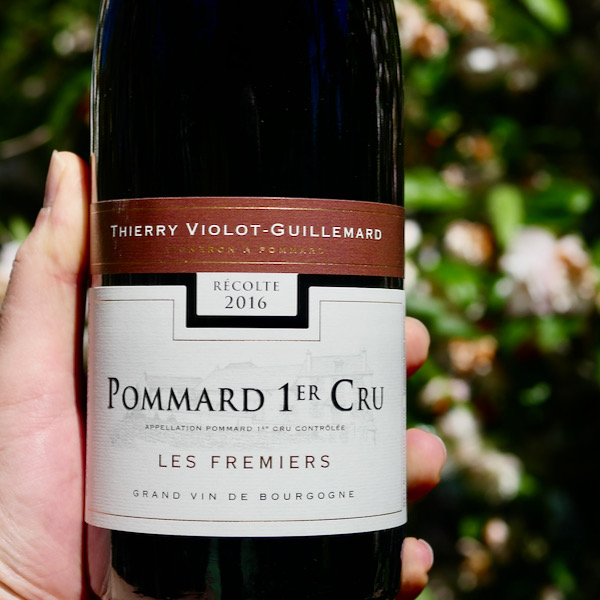 Domaine Thierry Violot-Guillemard Pommard 1er 