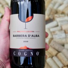 Cogno Pre-phylloxera Barbera d'Alba 2020
