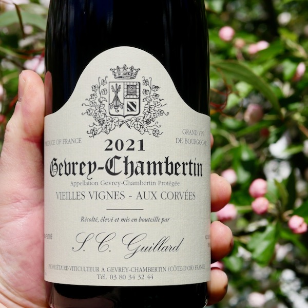 Domaine SC Guillard Wines - WINE DECODED