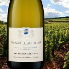 Domaine Thibault Liger-Belair Bourgogne Aligoté 'Clos des Perrières la Combe' 2020