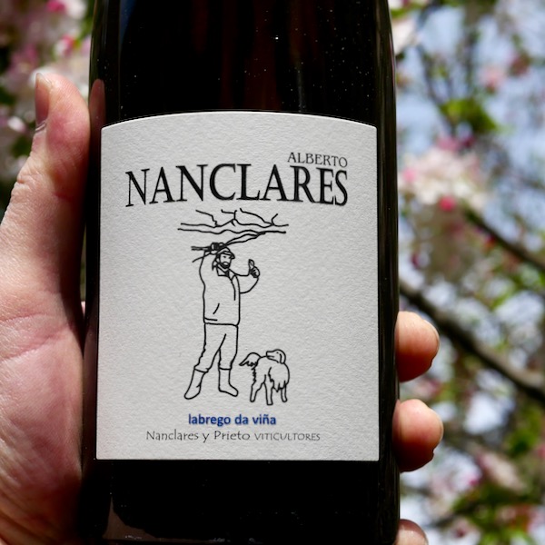 Alberto Nanclares 'Soverribas' Albariño 2024 main image 0