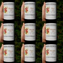 Produttori del Barbaresco Riserva 'All 9 Crus' 2013