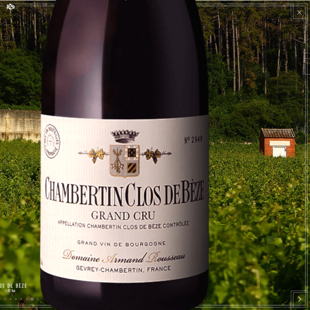 Domaine Armand Rousseau Grand Cru 'Clos de Bèze' 1999 - WINE DECODED