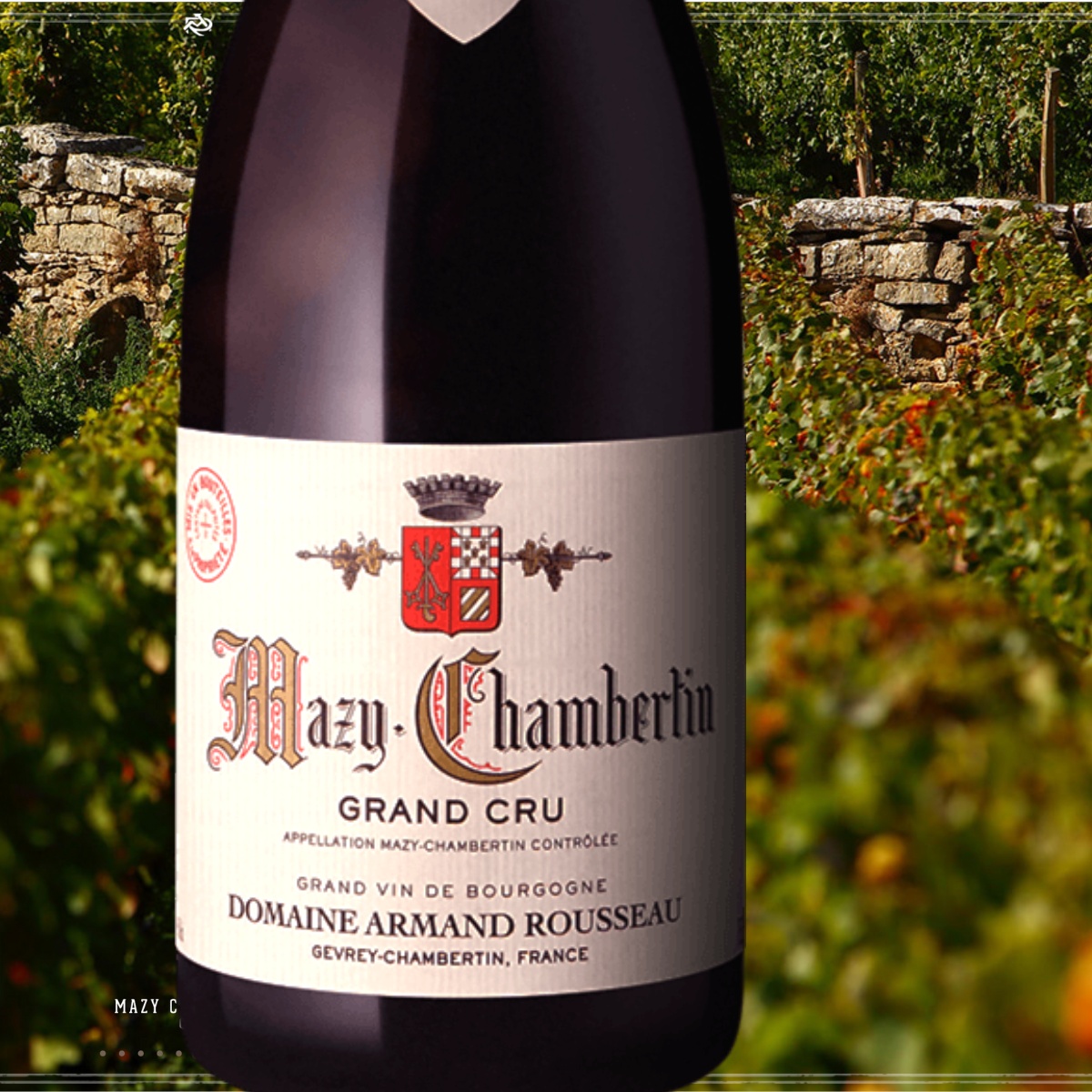 Domaine Armand Rousseau Grand Cru 'Mazy-Chambertin' 2002 - WINE