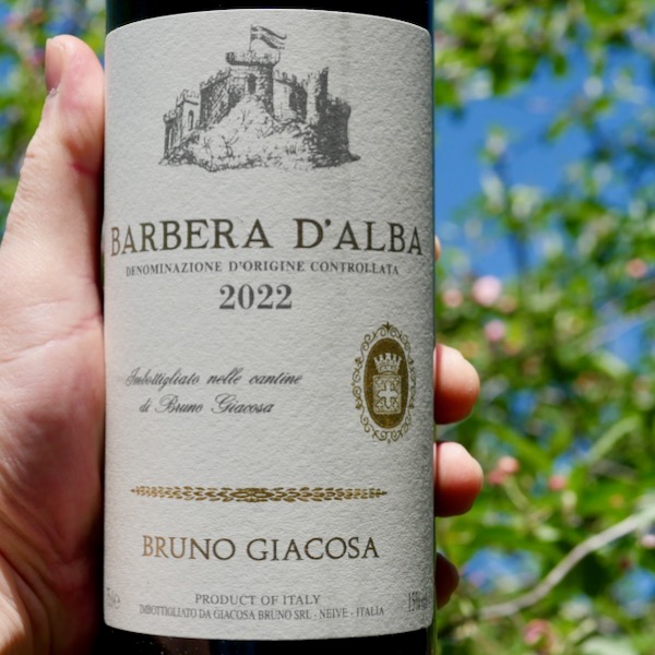 Bruno Giacosa Barbera d'Alba Casa Vinicola 2022 - WINE DECODED