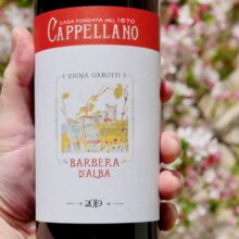 Cappellano Barbera Gabutti 2019
