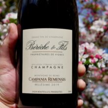 Bérêche et Fils Campania Remensis Rosé (Base 2019. Disg. Jun 2023) NV