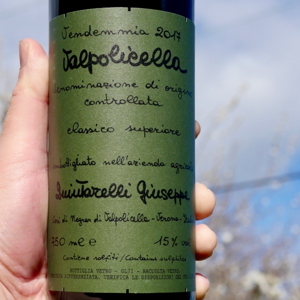 Giuseppe Quintarelli Valpolicella Classico Superiore 2017 WINE