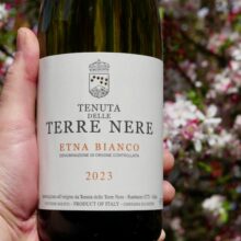Terre Nere Etna Bianco 2023