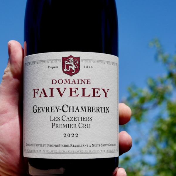 Domaine Faiveley Gevrey Chambertin 1er Cru 'Les Cazetiers' 2022 - WINE ...