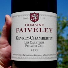 Domaine Faiveley Gevrey Chambertin 1er Cru 'Les Cazetiers' MAGNUM 2022
