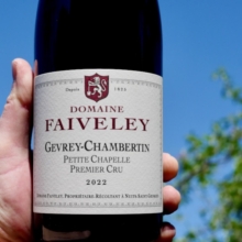 Domaine Faiveley Gevrey-Chambertin 1er Cru 'Petite Chapelle' 2022