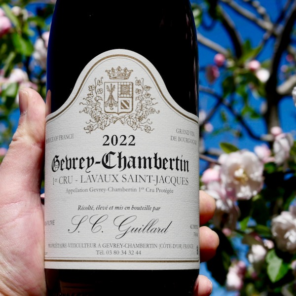 Domaine-SC-Guillard-Gevrey-