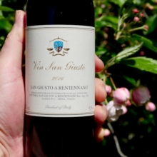 San Giusto a Rentennano 'Vin San Giusto' 375ml 2016