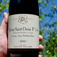 Stéphane Magnien Morey Saint Denis 1er Cru ‘Aux Petites Noix’ 2022
