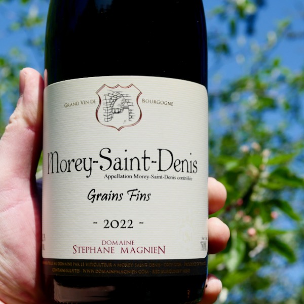 Stéphane Magnien Morey Saint Denis 'Grains Fins' 2022 - WINE DECODED