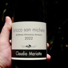 Claudio Mariotto 'Bricco San Michele' Derthona Timorasso 2023