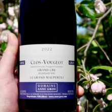 Domaine Anne Gros Clos de Vougeot 'Le Grand Maupertui' Grand Cru 2022