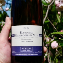 Domaine Anne Gros Hautes-Côtes de Nuits Blanc 'Cuvée Marine' 2022