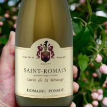Maison Ponsot Saint-Romain Cuvée de la Mésange 2022