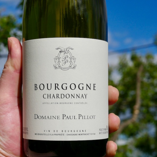 Paul Pilot Bourgogne Blanc Chardonnay 2022 - WINE DECODED
