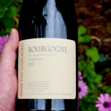Pierre-Yves Colin-Morey Bourgogne Blanc 2023