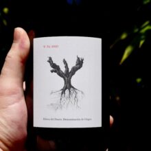 Bodegas y Vinedos Alnardo ‘PSI’ Tinto Fino 2021