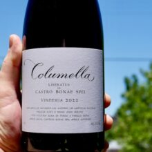 Sadie Family Swartland Columella 2022