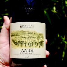 I Custodi 'Ante' Etna Bianco DOC 2020