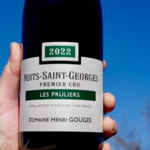 Domaine Henri Gouges Nuits-Saint-Georges 1er Cru 'Les Pruliers' 2022